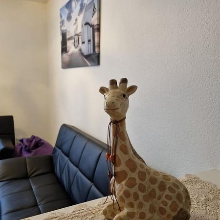 Monteurwohnung App 5 ピルマゼンス エクステリア 写真