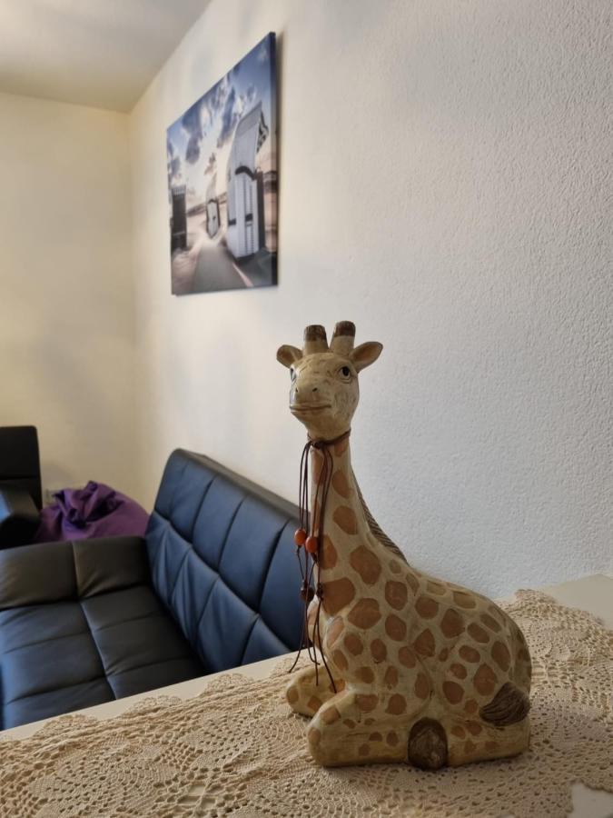 Monteurwohnung App 5 ピルマゼンス エクステリア 写真